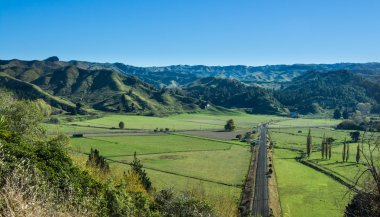 rangitikei daire
