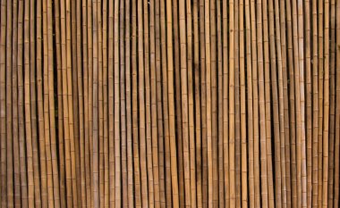 Bambu duvar