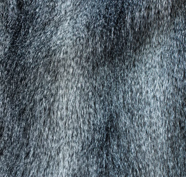 Γούνα γκρι υφή — Φωτογραφία Αρχείου