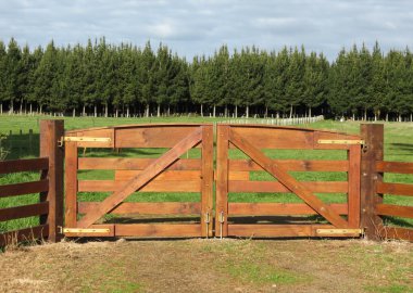 kahverengi gates