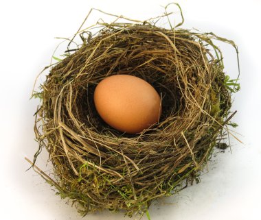 Big Nest Egg