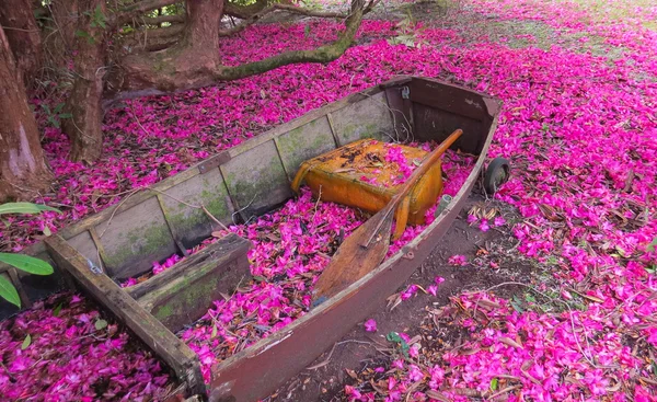 Barco de jardim . — Fotografia de Stock