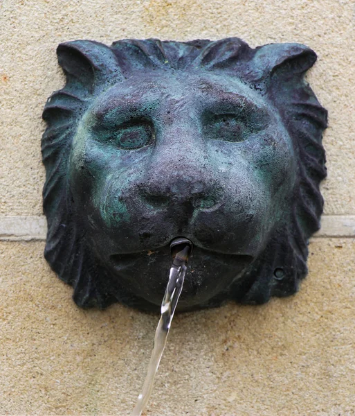 Vody Lví hlava — Stock fotografie