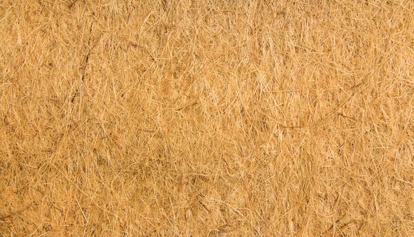 Flax Fiber Texture — Stock Photo, Image