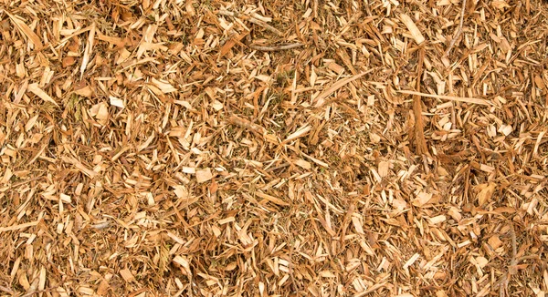 Wood CHips Texture — Stock Photo, Image