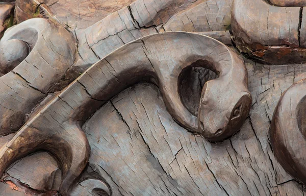 Trä ödla carving — Stockfoto