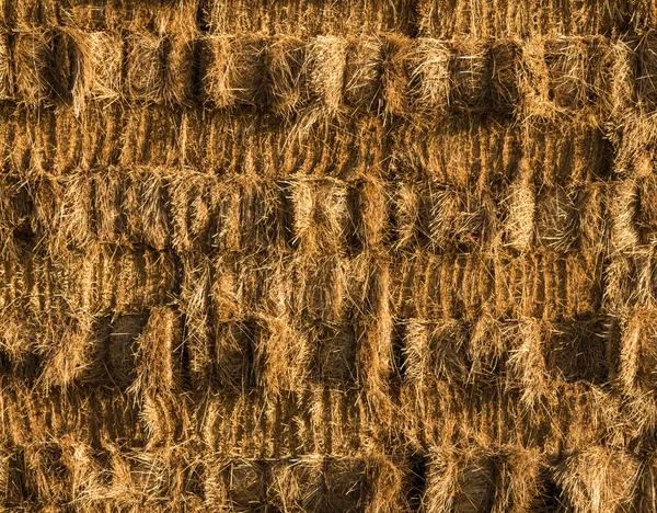 Hay Wall Stack — Stock Photo, Image