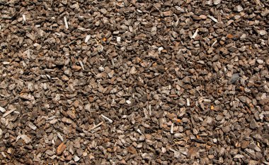 Ağaç kabuğu klip doku