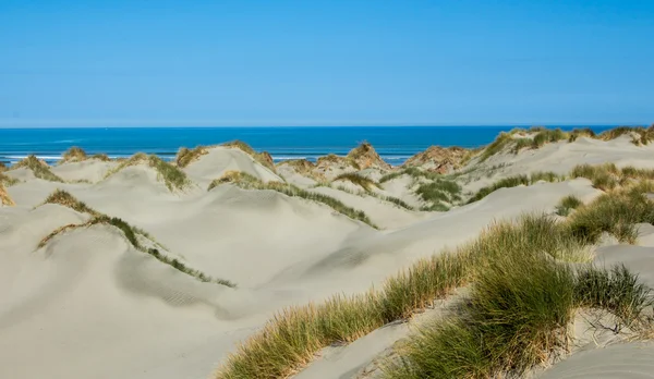 Spiaggia di sabbia dune — Foto Stock