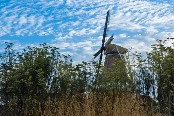 Moinho de vento Foxton — Fotografia de Stock