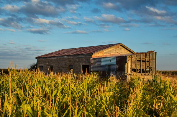 Labirinto Feild Shed — Fotografia de Stock