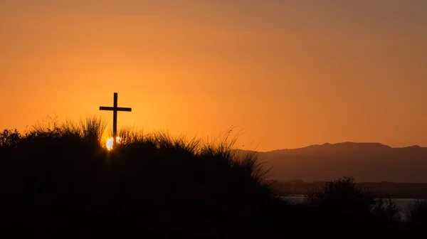 Stoßzahnhügelkreuz — Stockfoto