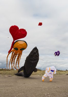 büyük gösteri uçurtma