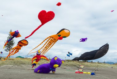 Uçurtma koleksiyonu