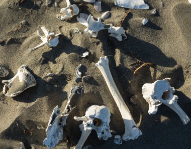 karışık kemik kalır