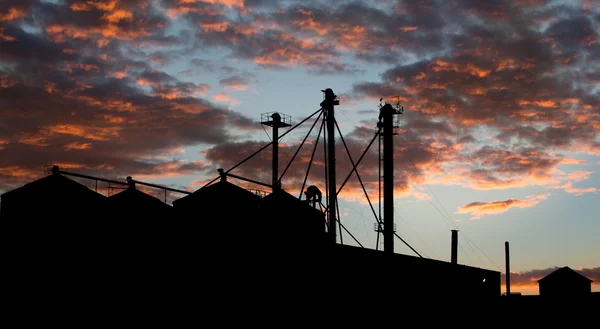 Graan silo's dawn — Stockfoto