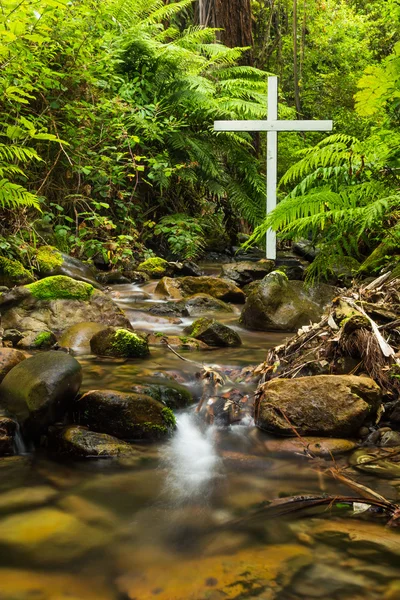 Cruz de helecho —  Fotos de Stock