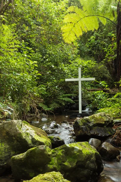 Naturaleza Cruz — Foto de Stock