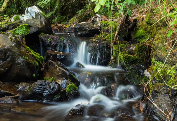 Aguas naturales que fluyen —  Fotos de Stock