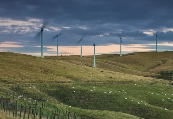 Rüzgar tarım — Stok fotoğraf