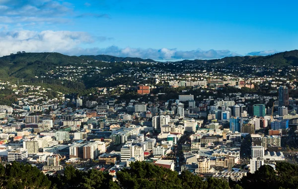 Miasta Wellington — Zdjęcie stockowe