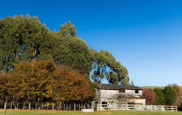 Ferme hangar arbres — Photo