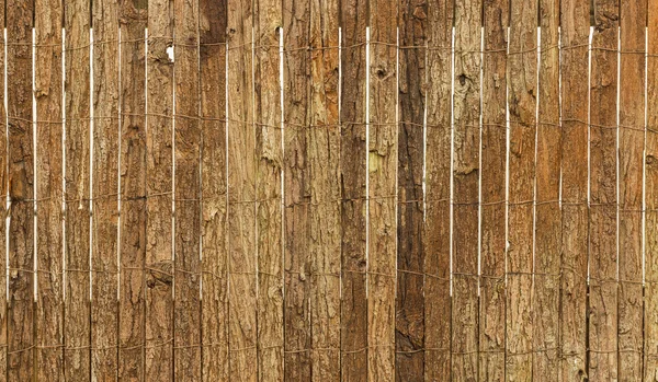 Bark vägg — Stockfoto