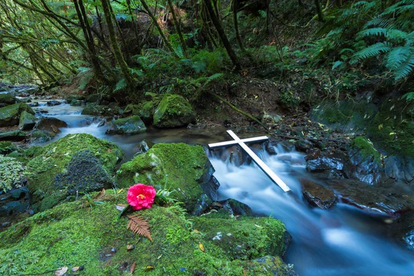 Kruis vloeiende stream — Stockfoto