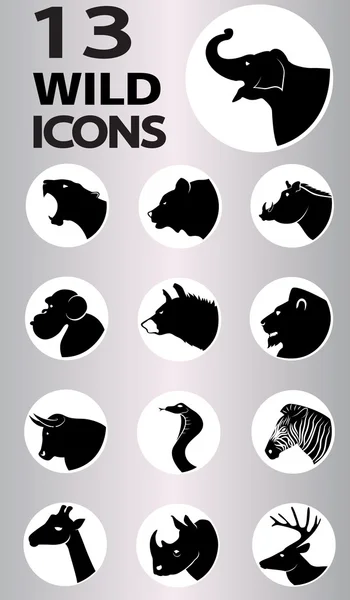 Wild icons collection — Stock Vector
