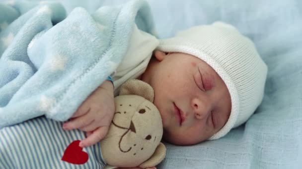 Nahaufnahme von Newborn Baby Face Portrait Early Days Schlaf mit weichem Teddybär auf blauem Hintergrund. Kind am Anfang Minuten des Lebens auf Hut. Säuglinge, Geburt, erste Momente der Langeweile — Stockvideo