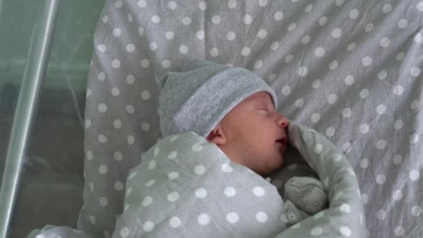 Pasgeboren baby rood schattig gezicht portret vroege dagen slapen in medisch glas bed op grijze achtergrond. Kind aan het begin minuten van het leven op hoed. Zuigelingen, Bevalling, Eerste momenten van Borning, Beginnen Concept — Stockvideo