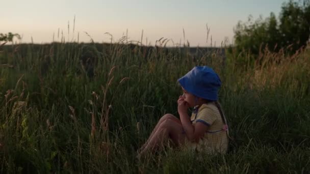 Menina pré-escolar bonito em vestido amarelo sentar-se no topo da montanha em grama alta antes do pôr do sol. Criança a caminhar no prado selvagem. Miúdo feliz nas montanhas. infância, natureza, estilo de vida, conceito de verão — Vídeo de Stock