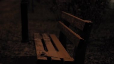 Hava tahmini, anormallik, acil durum, element, kış konsepti. Kar yağışının sabit olmayan el kamerasıyla çekilmesi. Gece parkındaki sokak lambalarının sarı ışığında düşen kar taneleri. Kiev 'deki ilk kar