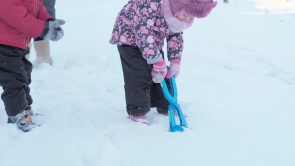 Зима, відпустка, ігри, сімейні концепції - Двоє щасливих дітей дошкільного віку брати і сестри одягнені в капелюхи і рукавиці з мамою, які грають, роблять снігову кулю в снігопаді в холодну погоду в парку на відкритому повітрі — стокове відео