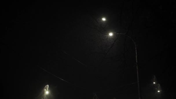 2020.11.18 - Κίεβο, UKraine: panning unstabilized handheld shooting of snow. Πτώση νιφάδων χιονιού υπό το φως των φανών του δρόμου στο πάρκο νύχτα. Πρόγνωση καιρού, ανωμαλία, έκτακτη ανάγκη, στοιχείο, χειμερινή έννοια — Αρχείο Βίντεο