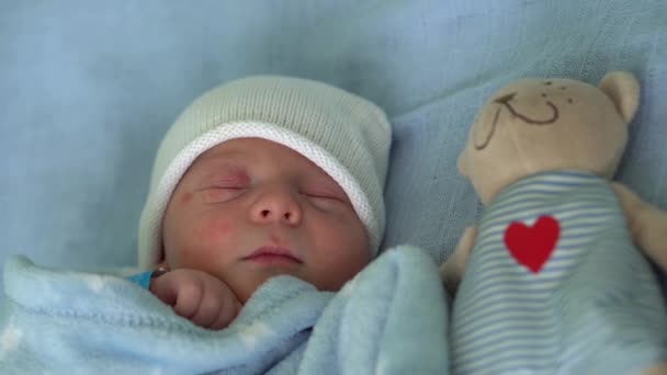 Primo piano del ritratto del viso del neonato I primi giorni di sonno con Tady Bear su sfondo blu. Bambino all'inizio Minuti di vita sul cappello. Neonati, Parto, Primi momenti della nascita, Inizio del concetto — Video Stock