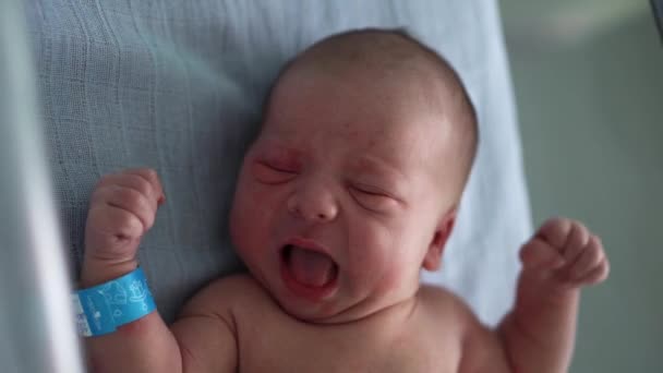 Naked Newborn Baby Red Face Portrait Akne Allergische Reizungen frühen Tagen Weinen auf blauem Hintergrund. Kind am Anfang Minuten des Lebens. Säuglinge, Geburt, erste Momente der Langeweile, Konzeptbeginn — Stockvideo