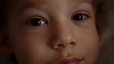 Güzel Çocuk Kameraya Bakıyor. Şirin Bebek Erkek Yüzü 'nün portresi. Yakından Kahverengi Gözlü Çocuklar. Çocuk Duyguları 'ndan. Çocuklar Odaklanmış Bak. Kafkas Çocuk 'un son derece detaylı portresi. Doğal Güzellik