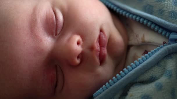 Detailní záběr Novorozené Dítě Tvář Portrét Počátky V Makro Spánek A Úsměv Přes Sen V Modré Teplé bundě. Dětský spánek na začátku minuty života. Kojenci, porod, první okamžiky narození — Stock video