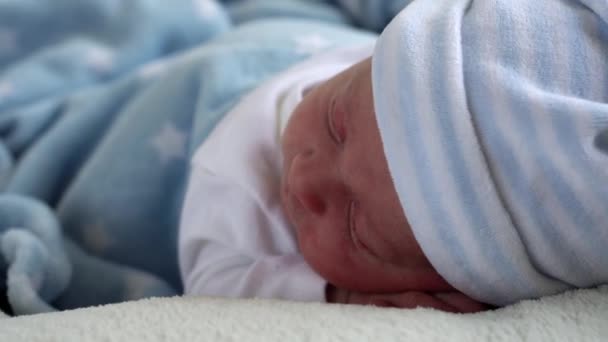 Décryptages Nouveau-né Visage Portrait Les premiers jours dorment doucement sur fond blanc bleu ventre. Enfant au début minutes de vie sur chapeau. Nourrissons, Accouchement, Premiers instants de l'ennui, Concept de départ — Video