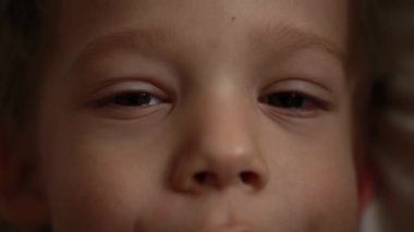 Güzel Çocuk Kameraya Bakıyor. Şirin Bebek Erkek Yüzü 'nün portresi. Yakından Kahverengi Gözlü Çocuklar. Çocuk Duyguları 'ndan. Çocuklar Odaklanmış Bak. Kafkas Çocuk 'un son derece detaylı portresi. Doğal Güzellik