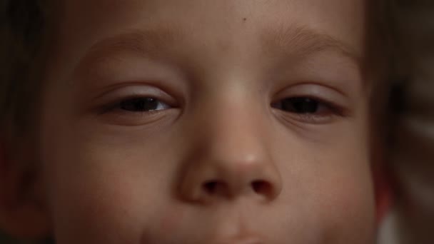 Το όμορφο παιδί που κοιτάζει την κάμερα. Το πορτραίτο του μικρού χαριτωμένου μωρού. Κοντινά καστανά μάτια. Παιδικά συναισθήματα. Τα παιδιά εστιάζουν. Πολύ λεπτομερές πορτρέτο του Καυκάσιου αγοριού. Φυσική ομορφιά — Αρχείο Βίντεο