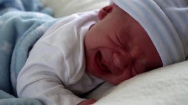 Yakın plan Ağlayan Bebek Yüzlü İlk Günler Mavi Göbek Arkaplanında Uyuyan Bebek Portresi. Hayata Başlayan Çocuk Şapka 'da. Bebekler, Doğum, Doğumun İlk Anları, Başlangıç Konsepti
