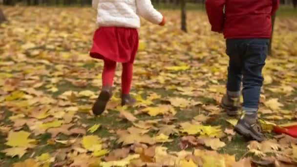 Dois felizes engraçado ativo smilling amigos crianças menino menina andando correndo de mãos dadas no parque floresta apreciando outono outono natureza tempo. Kid em pano vermelho brincando escondido atrás de árvores Lento — Vídeo de Stock