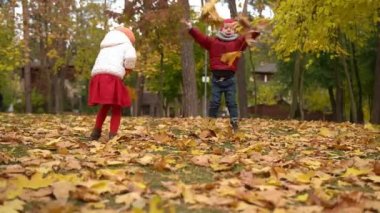 İki mutlu komik çocuk oğlan oğlan oğlan kız parkta sonbahar havasının tadını çıkarıyor. Çocuk Koleksiyon sepetlere düşen yaprakları kusar, ağaçların arkasında saklanan mantarları arar.