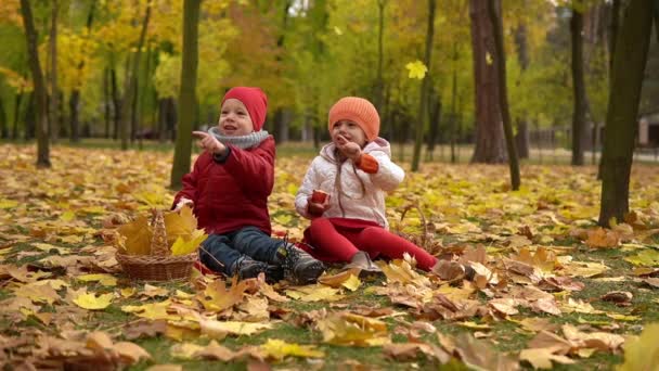 Little Cute Preschool Minor Baby Siblings Girl and Boy pick On Red Plaid Yellow Fallen Leaves In Basket Eats Red Apple Look at Camera Cold Weather In Fall Park. 어린 시절, 가족, 가을의 개념 — 비디오