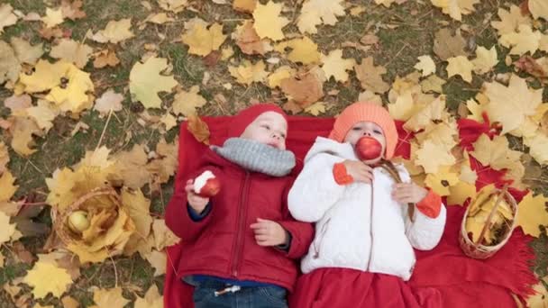 Little Preschool Kid Siblings Girl Boy Smiling lay down resting relax On Plaid Fallen Leaves In Basket Picnic Children Eating fruit Red Apple Look At Camera In Fall Park. Family, Autumn harvest — Stock Video