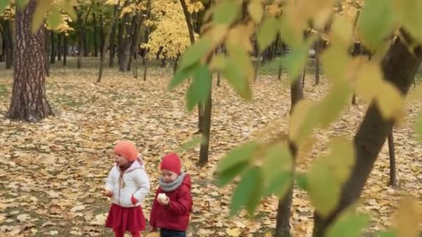 Mały przedszkolak Dziecko rodzeństwo Dziewczyna i chłopiec uśmiechający się na kratę żółty Upadłe liście w koszu Piknik Dzieci jedzące owoce Czerwone jabłko Spójrz na aparat Pogoda w jesiennym parku. Rodzina, Koncepcja jesiennych zbiorów — Wideo stockowe