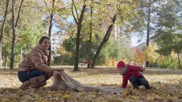 小さな子供の男の子と選ぶ若い母親のベビーシッターは地面に再生されます黄色の落ち葉バスケットで食べる赤いアップルは秋の公園でカメラの寒さを見て.子供時代、家族、秋 — ストック動画