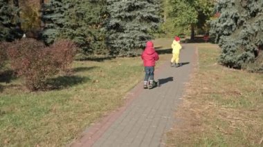 Küçük şirin okul öncesi bebek kardeşleri ve oğlan hemen scooter sürerler, damıtma oyunu oynarlar Sarı Düşen Yapraklar Sonbahar Parktaki Soğuk Hava 'ya bakar. Çocukluk, Aile, Sonbahar